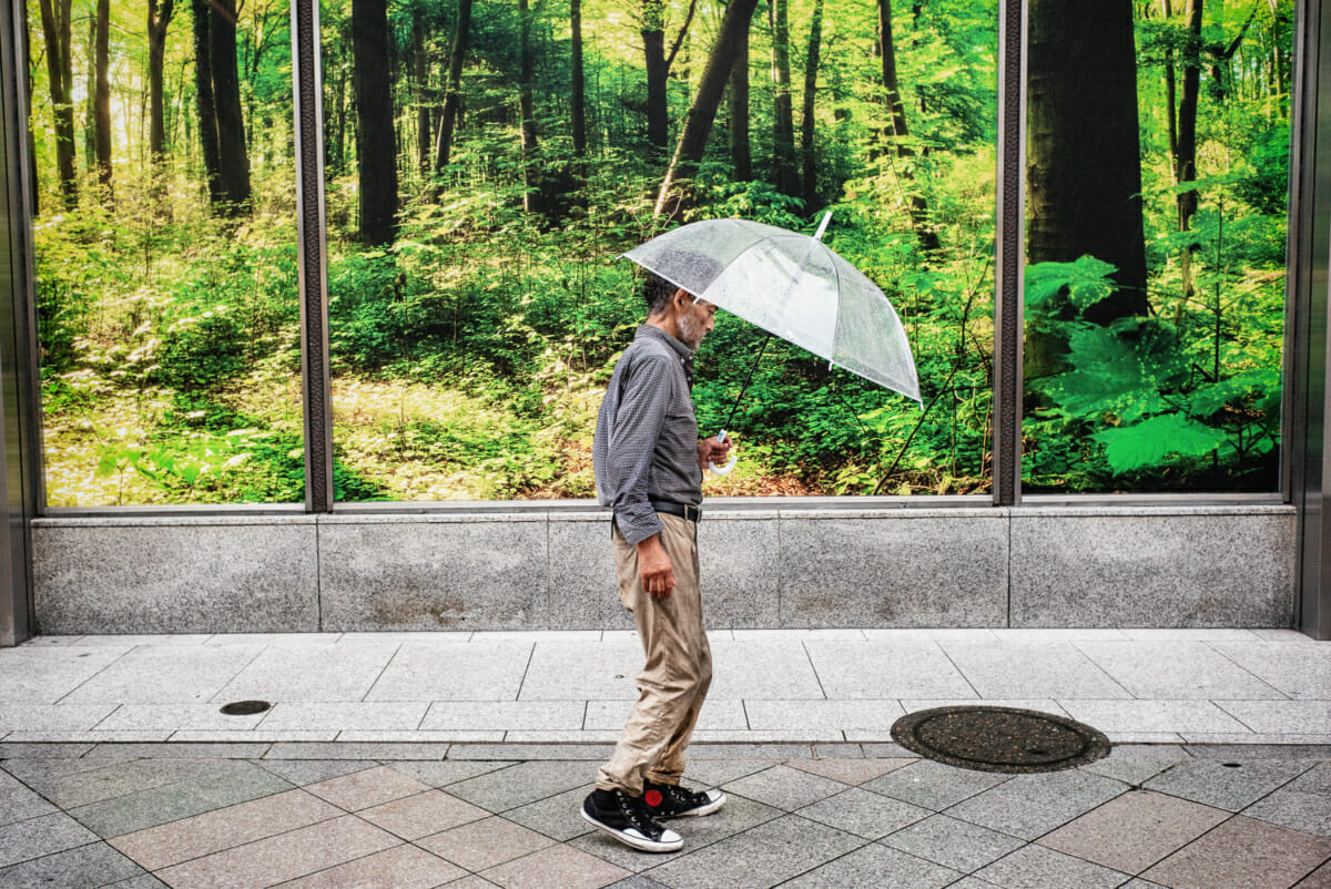 favourite Japan photographs of 2018