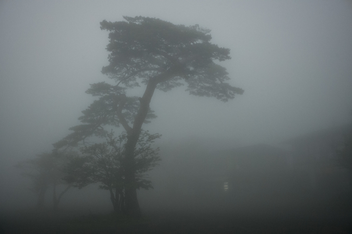 An atmospheric old Japanese tourist spot in the fog