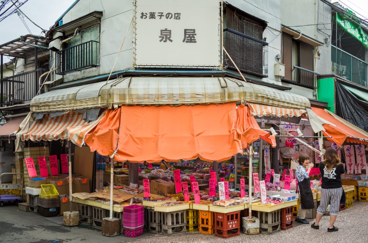 Scenes from a saunter just south of Tokyo