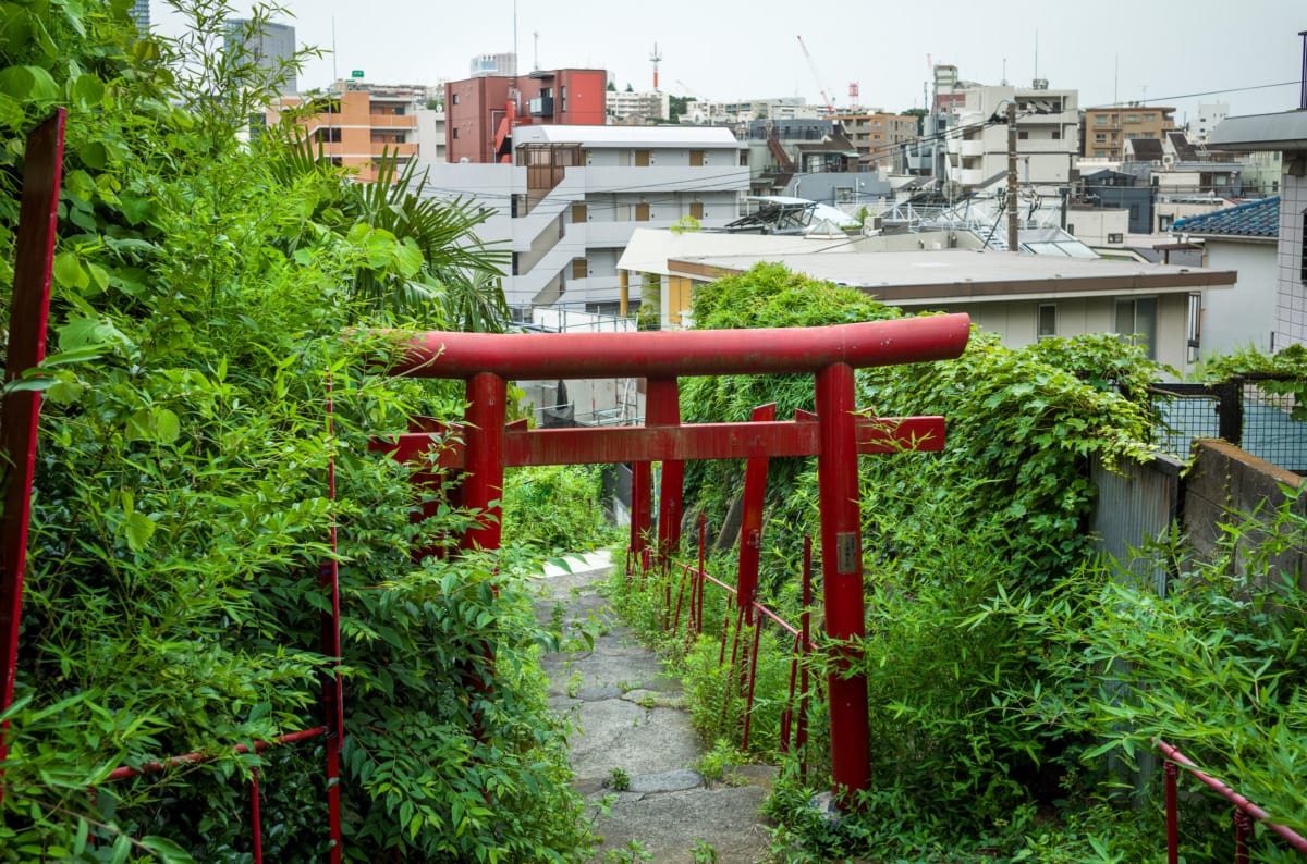 Scenes from a saunter just south of Tokyo