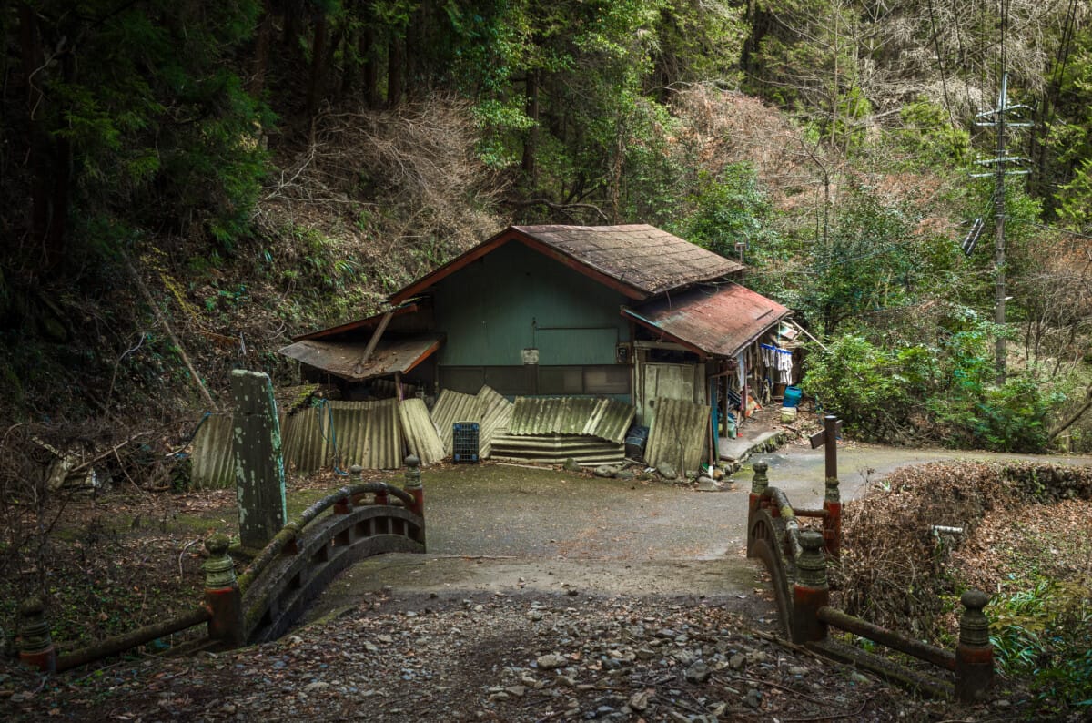 A walk in the woods just west of Tokyo