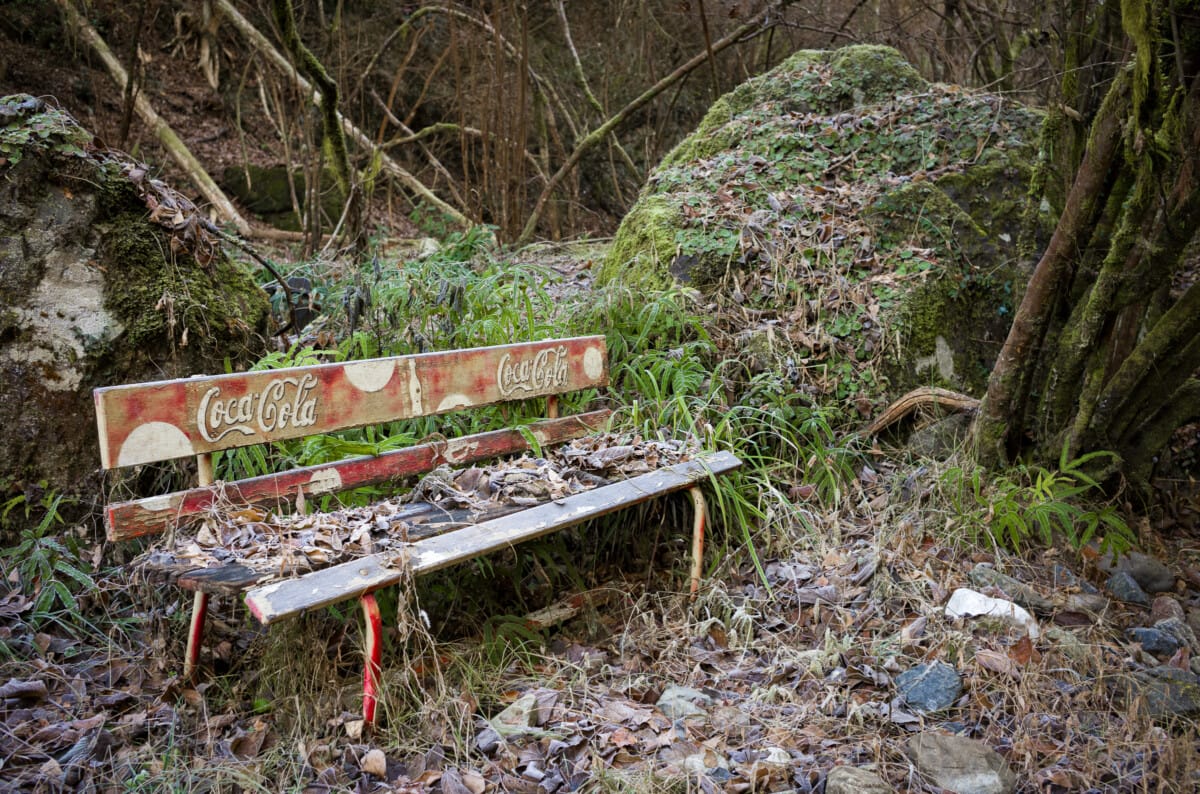 A walk in the woods just west of Tokyo