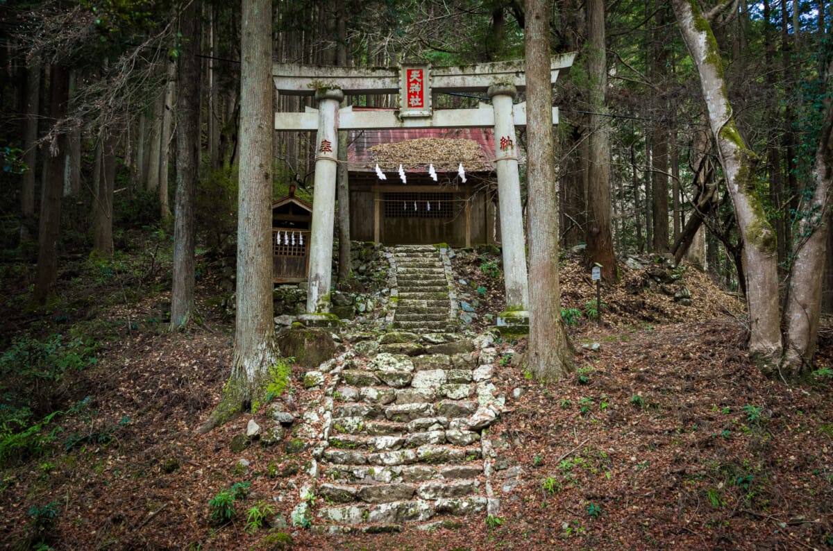 A walk in the woods just west of Tokyo