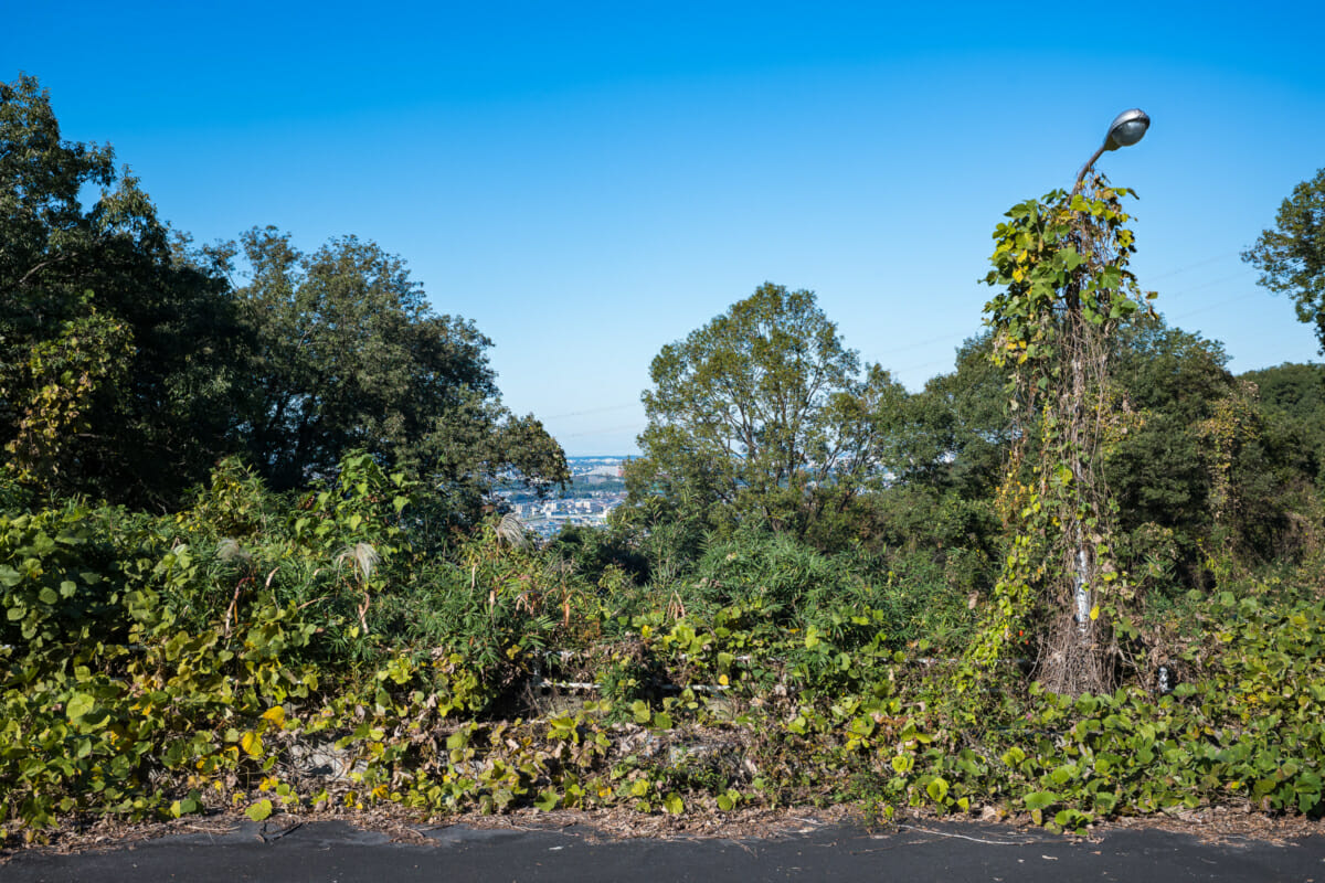 An abandoned and overgrown Japanese theme park