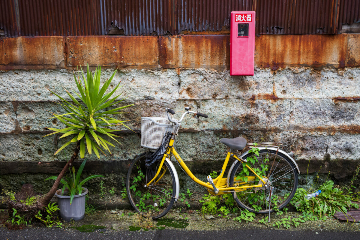 Abandoned and overgrown Tokyo bicycles