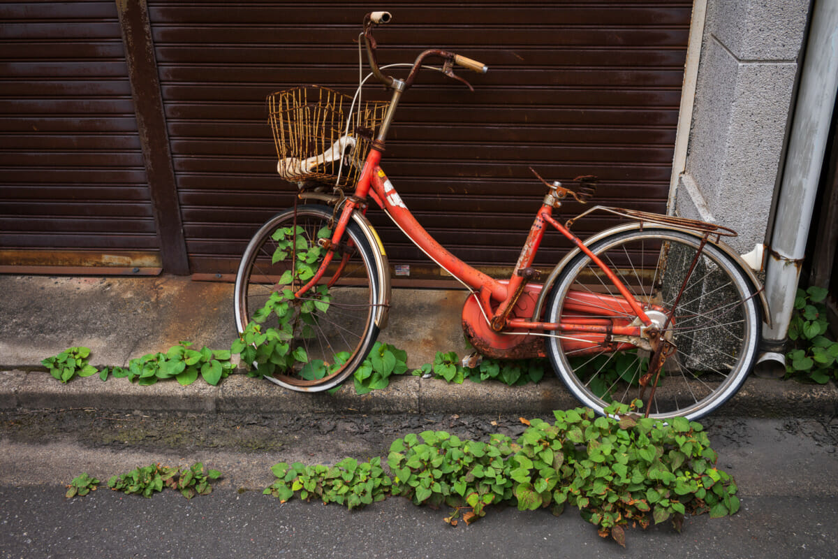 Abandoned and overgrown Tokyo bicycles