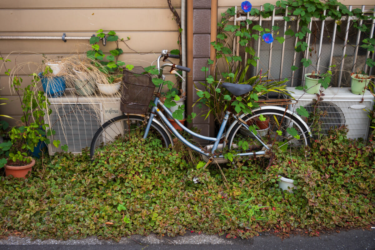 Abandoned and overgrown Tokyo bicycles