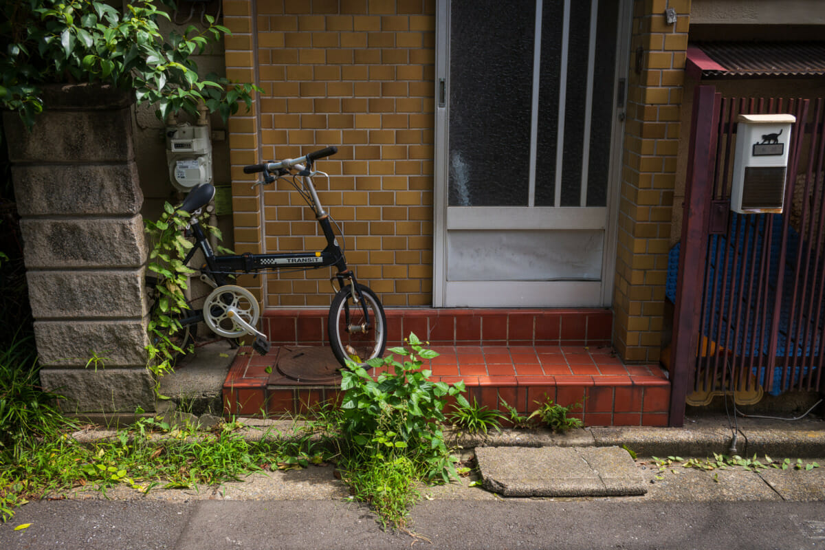 Abandoned and overgrown Tokyo bicycles