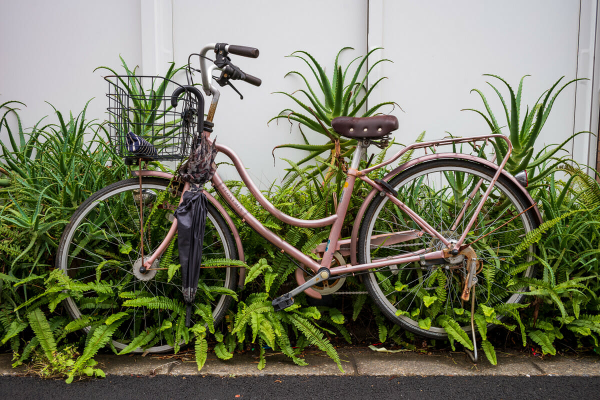 Abandoned and overgrown Tokyo bicycles