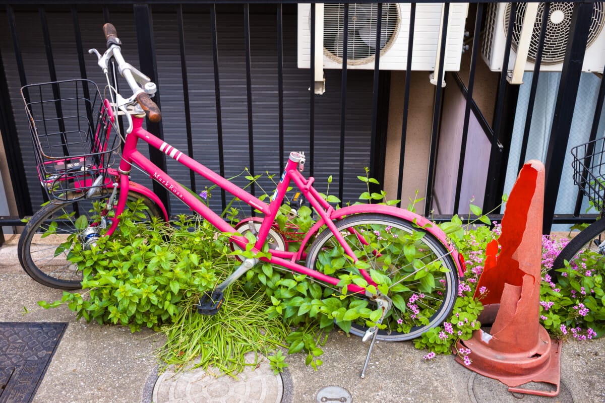 Abandoned Tokyo bicycles