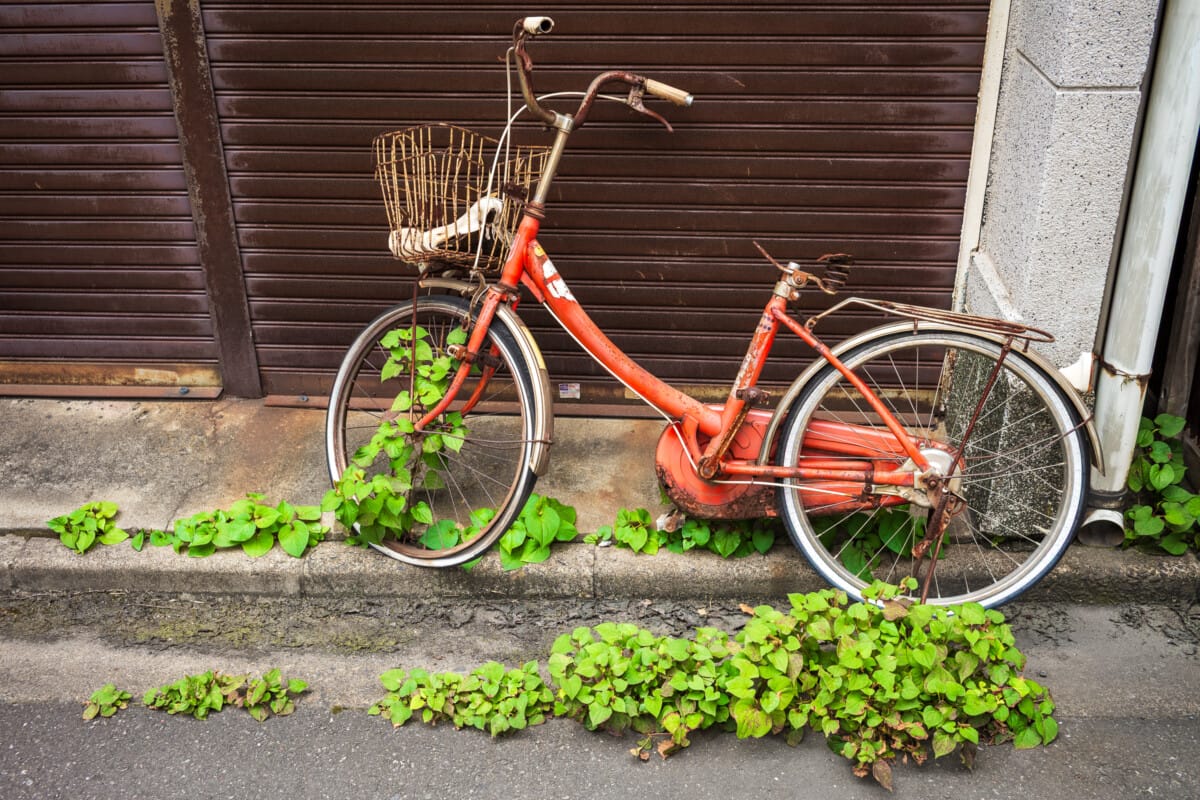 Abandoned Tokyo bicycles