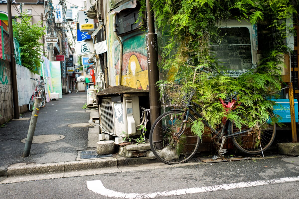 Abandoned Tokyo bicycles