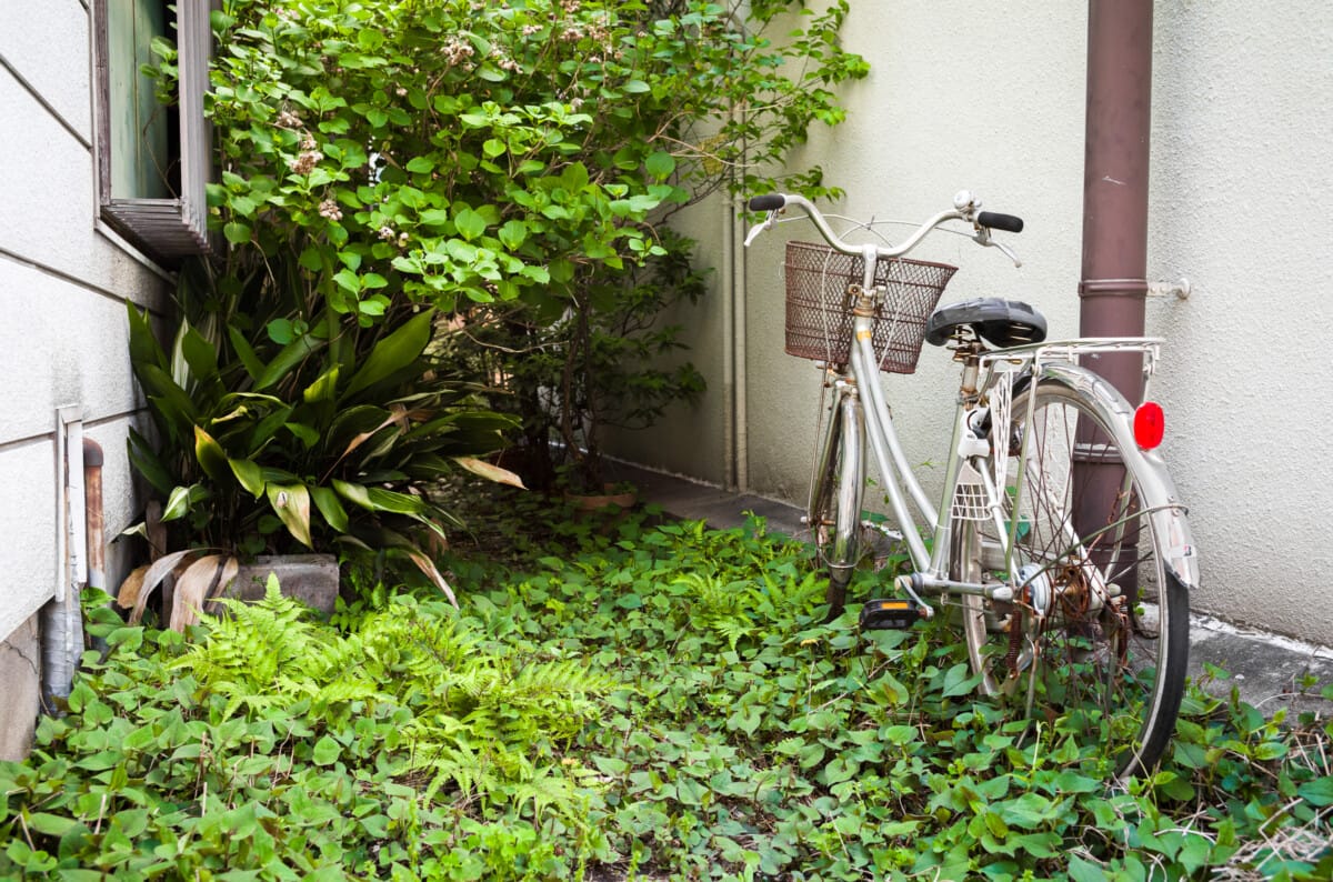 Abandoned Tokyo bicycles