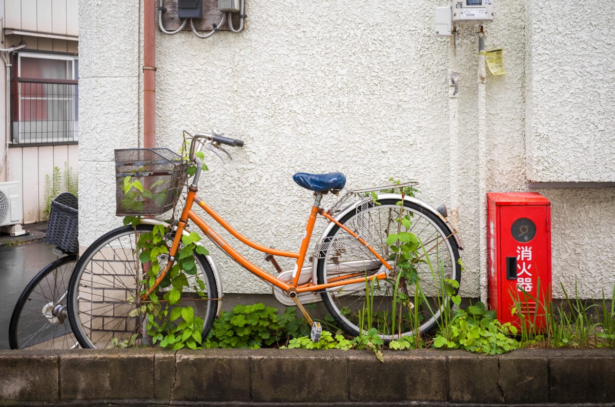 Abandoned Tokyo bicycles
