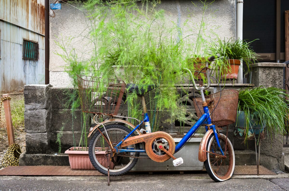 Abandoned Tokyo bicycles