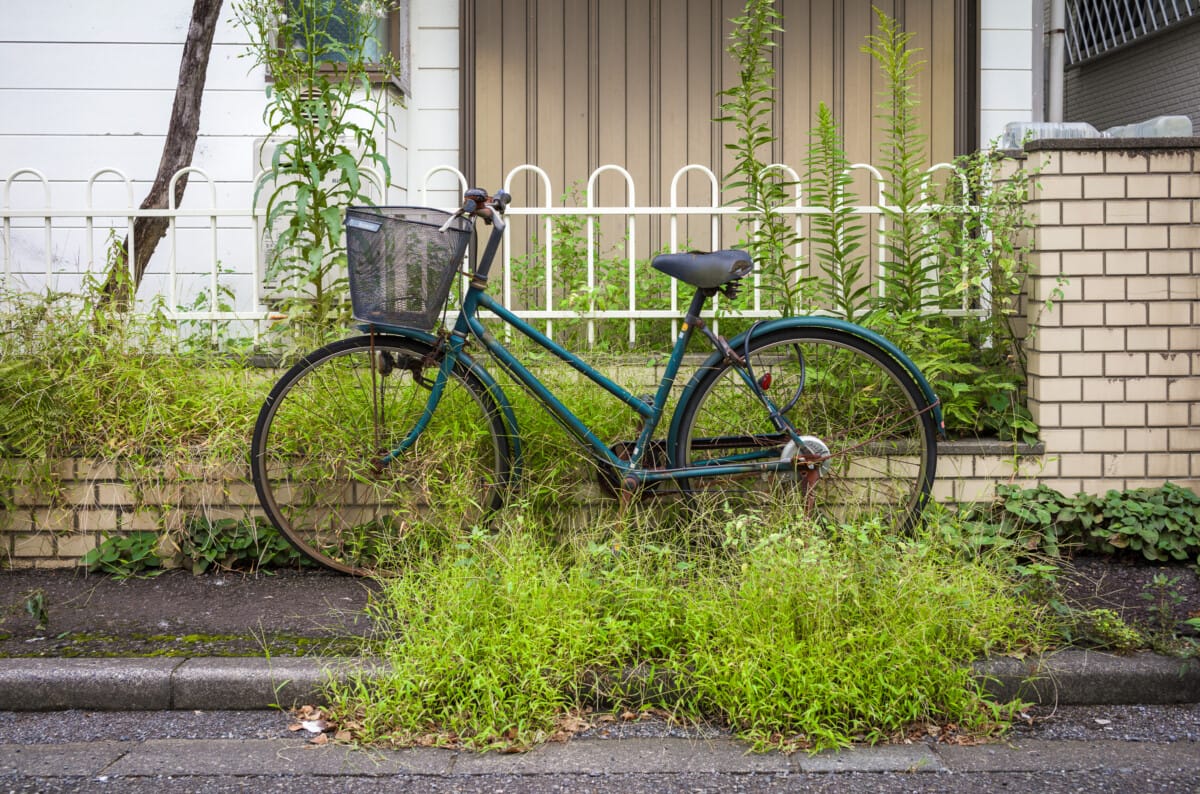 Abandoned Tokyo bicycles