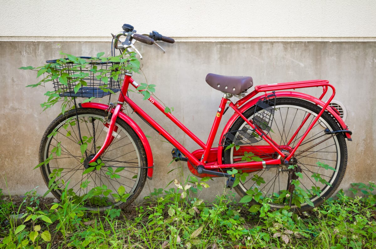 Abandoned Tokyo bicycles