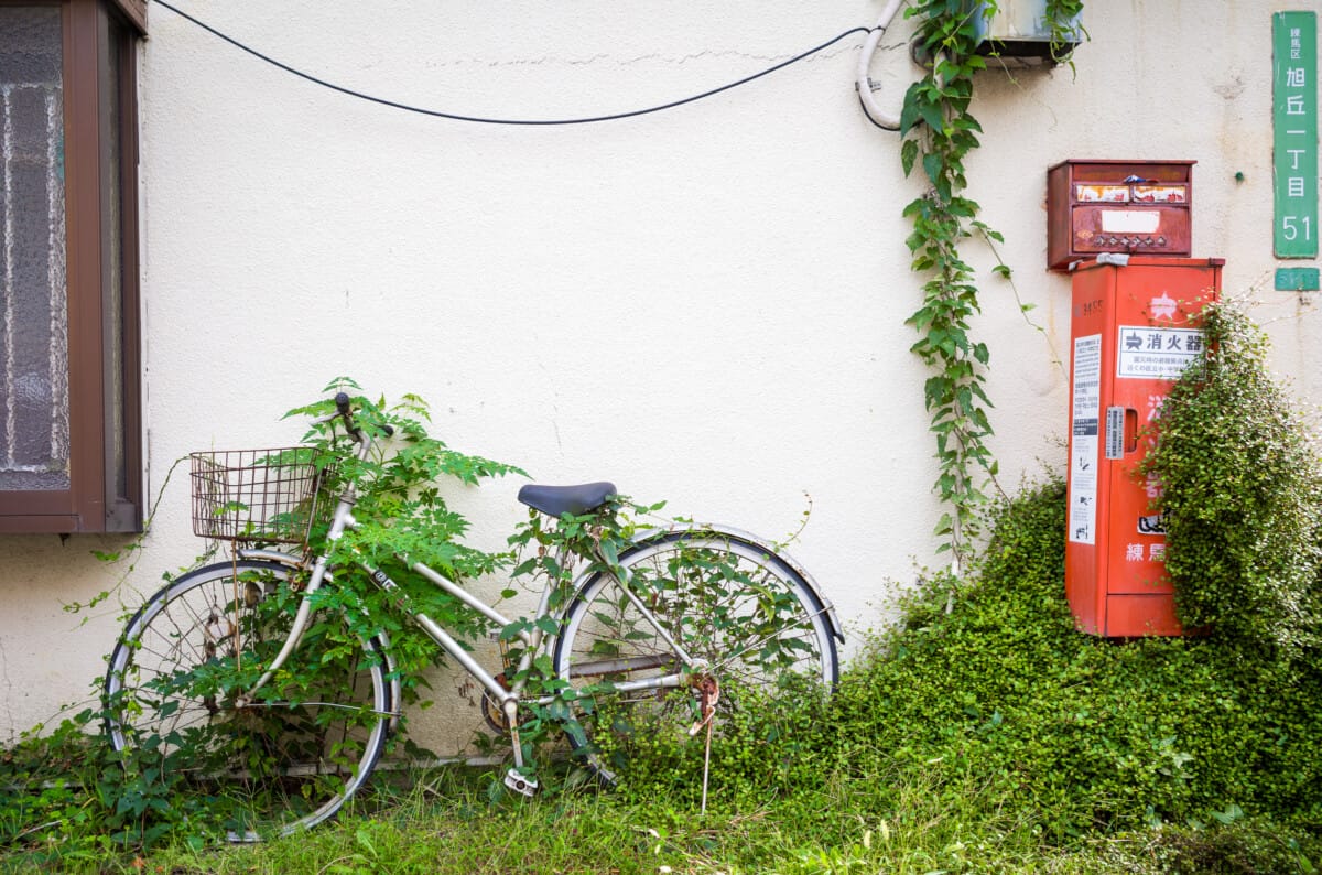 Abandoned Tokyo bicycles