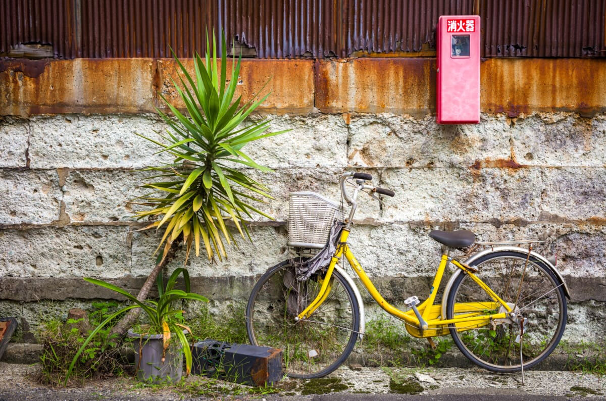 Abandoned Tokyo bicycles