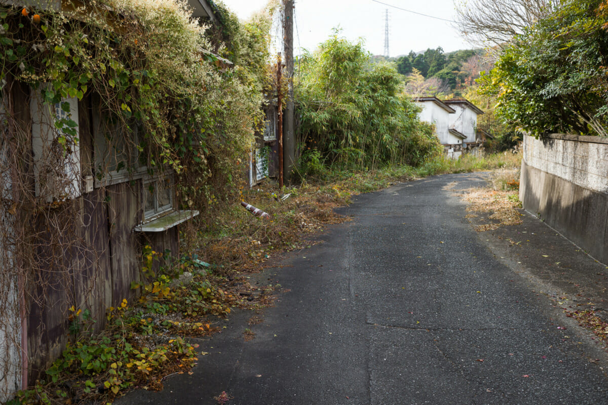 An overgrown and abandoned Japanese love hotel