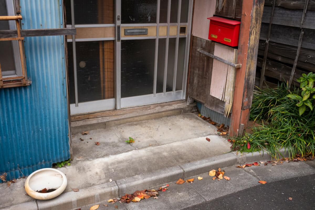 A very urban Tokyo autumn