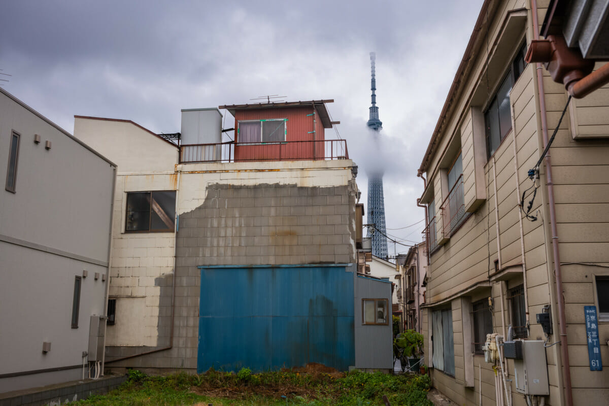 A very urban Tokyo autumn