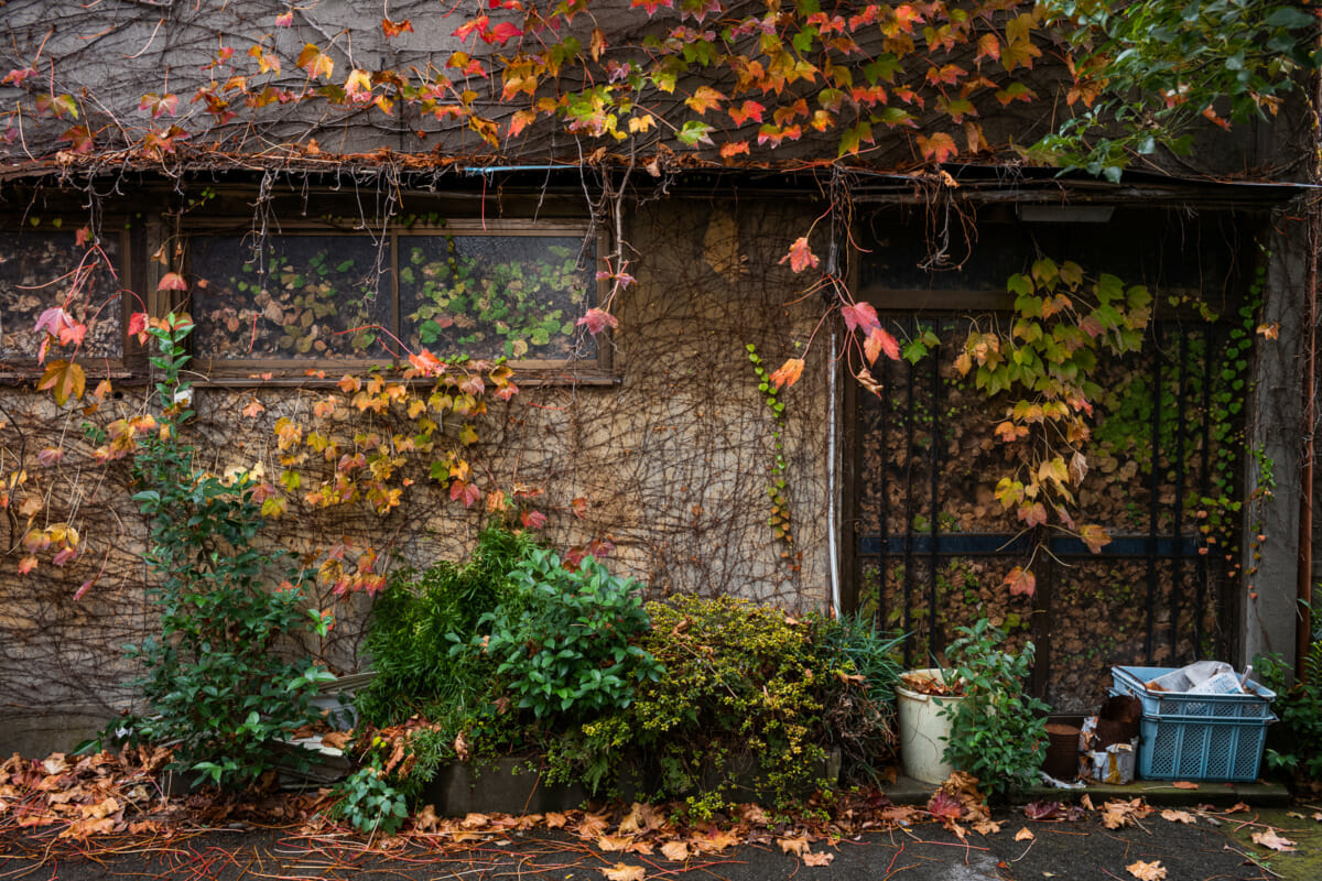 A very urban Tokyo autumn