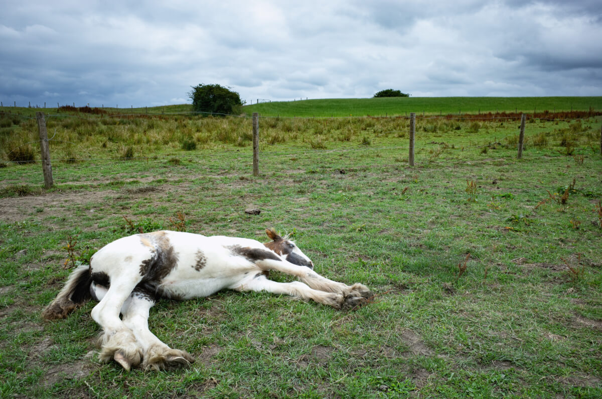 Britain in summer 2018