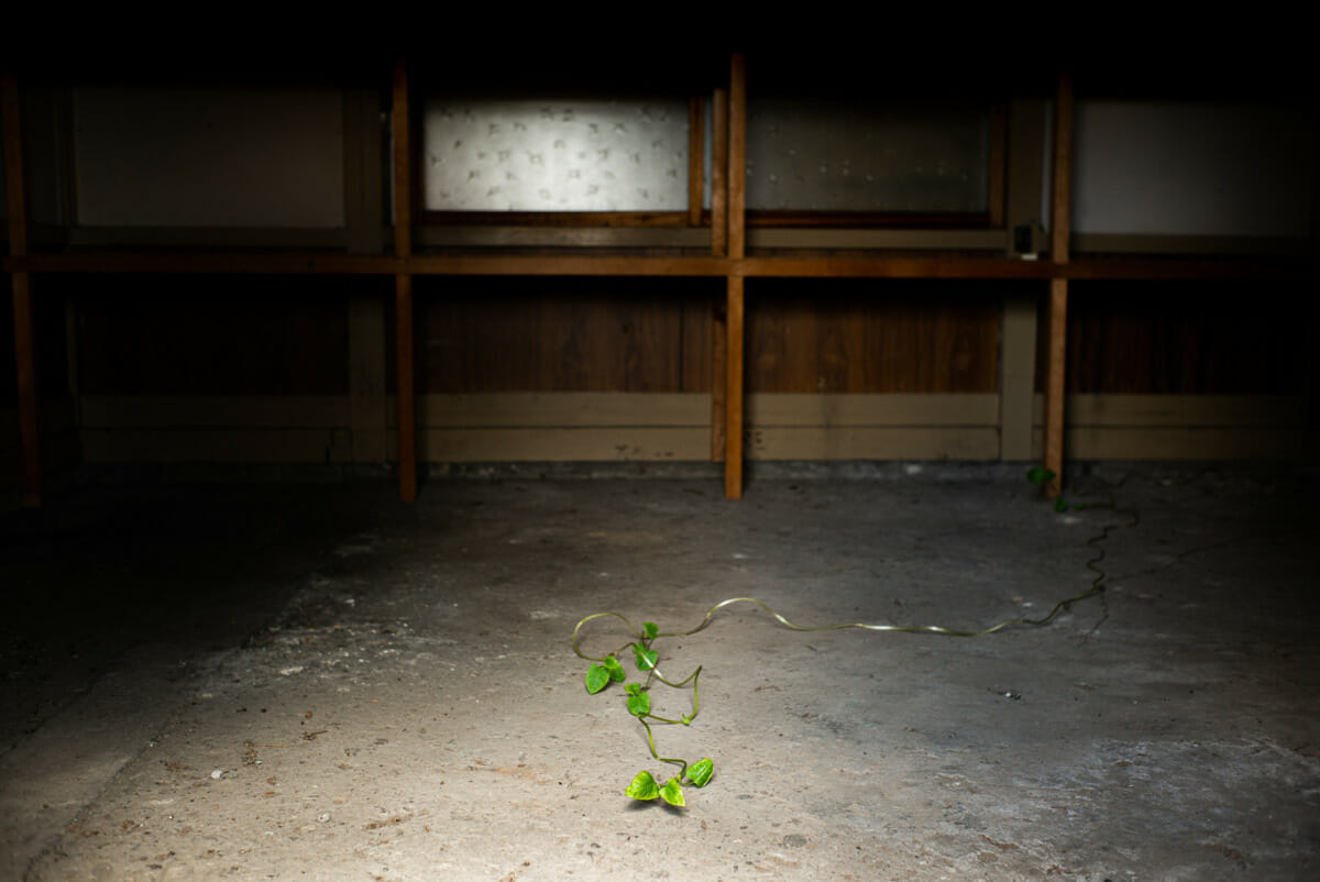 an old and abandoned Japanese train line