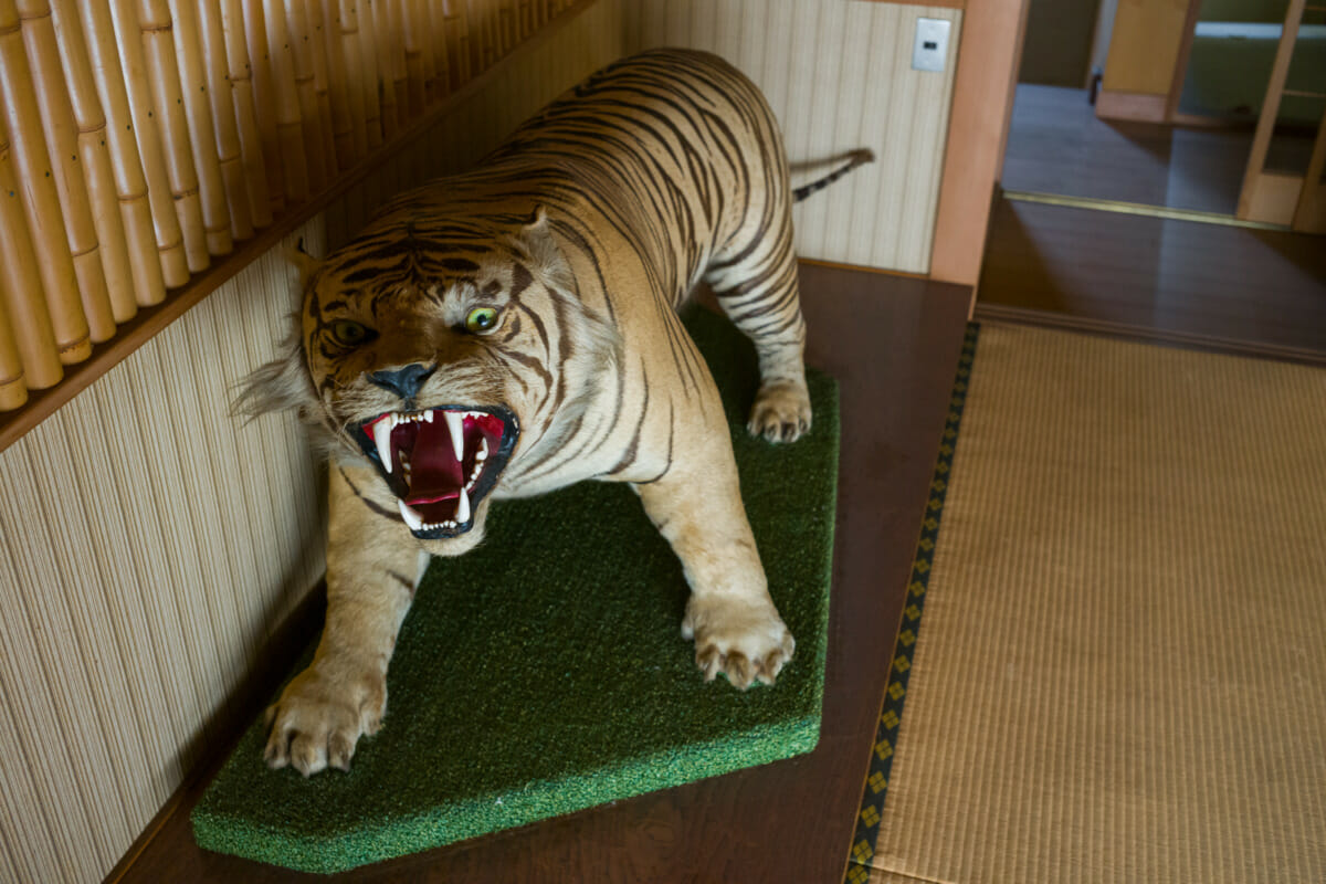 abandoned home of a Japanese dentist