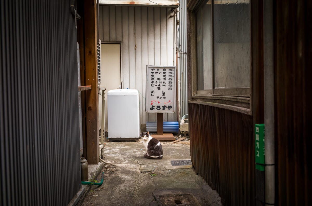 The disintegration of an old Japanese red light district