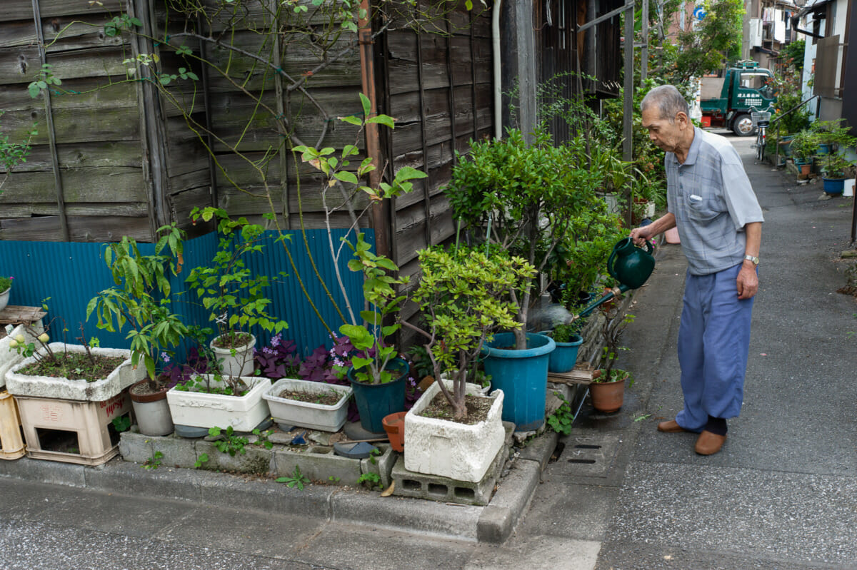 Tokyo urban garden before and after photos