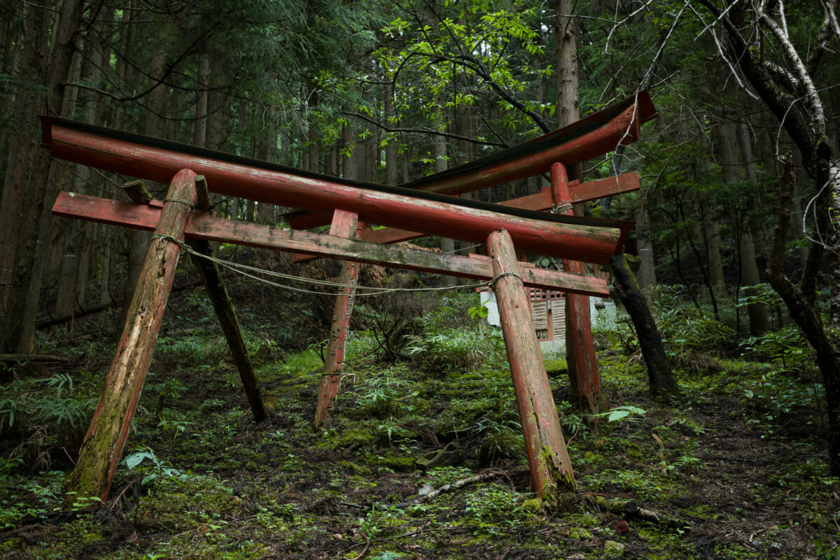 favourite Japan photographs of 2020