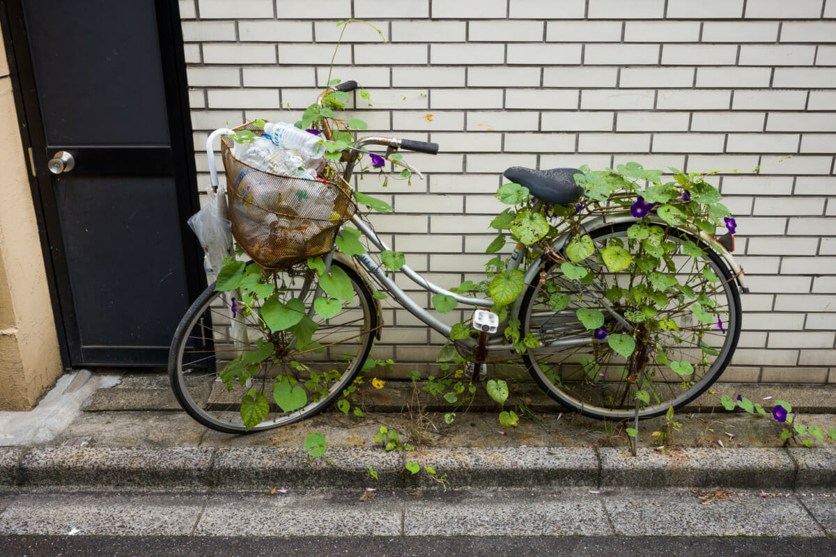 Long-forgotten Tokyo bicycles