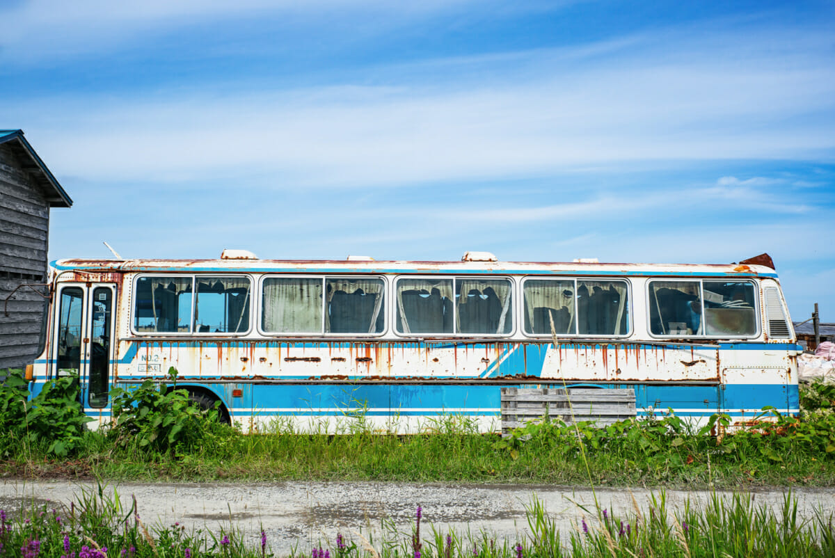 the harsh beauty of Japan's northernmost coastline