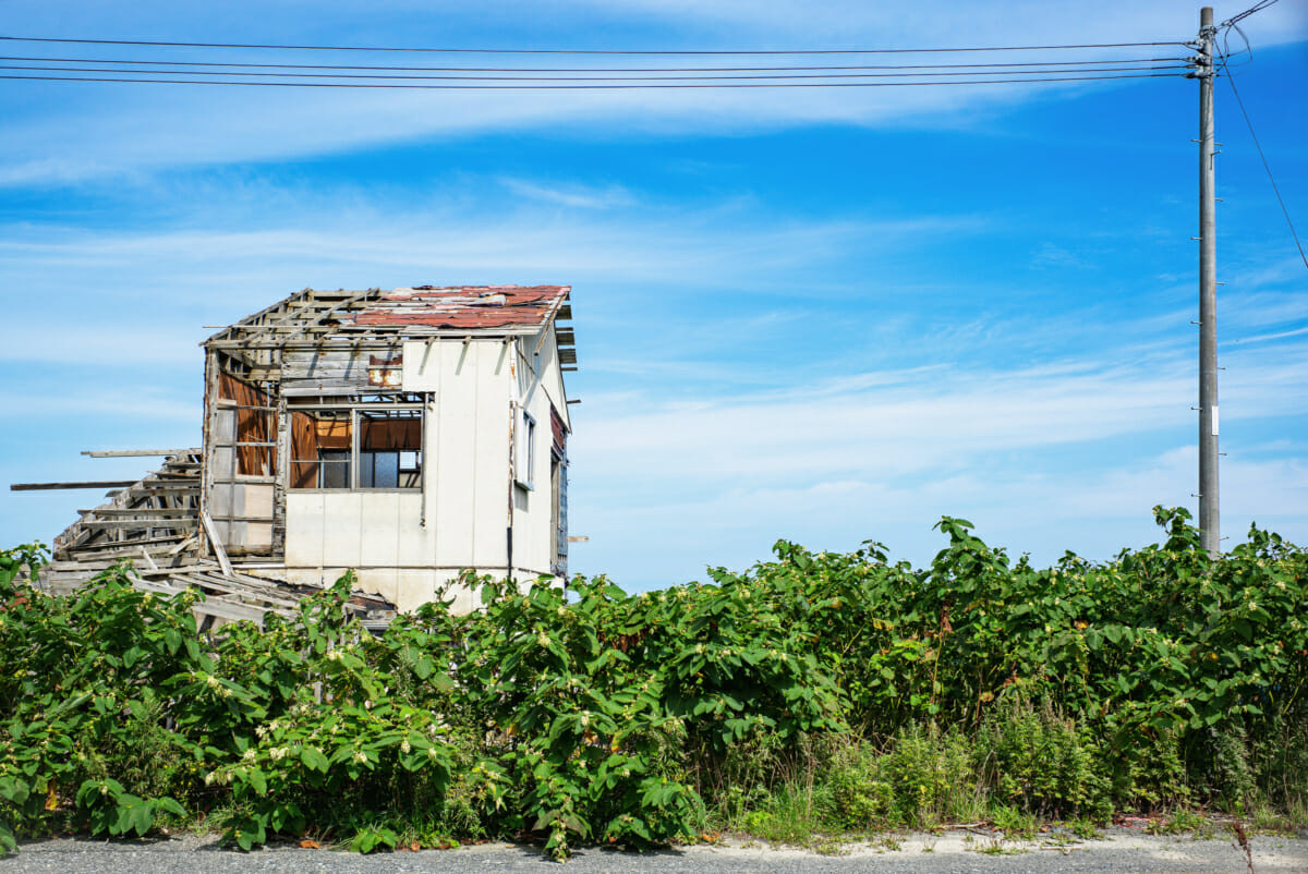 the harsh beauty of Japan's northernmost coastline