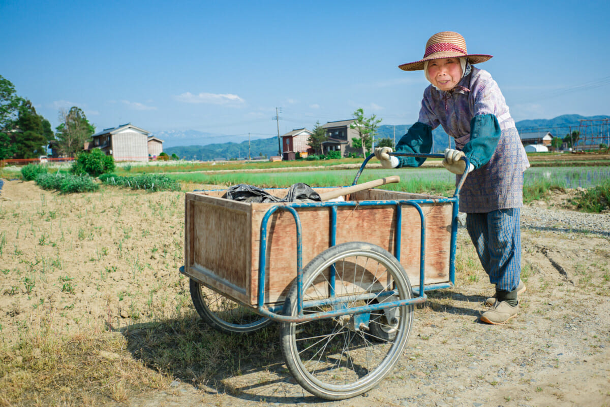 elderly Japanese portrait