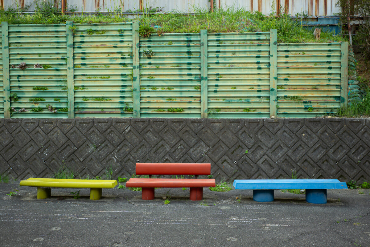 Japanese keirin in pictures