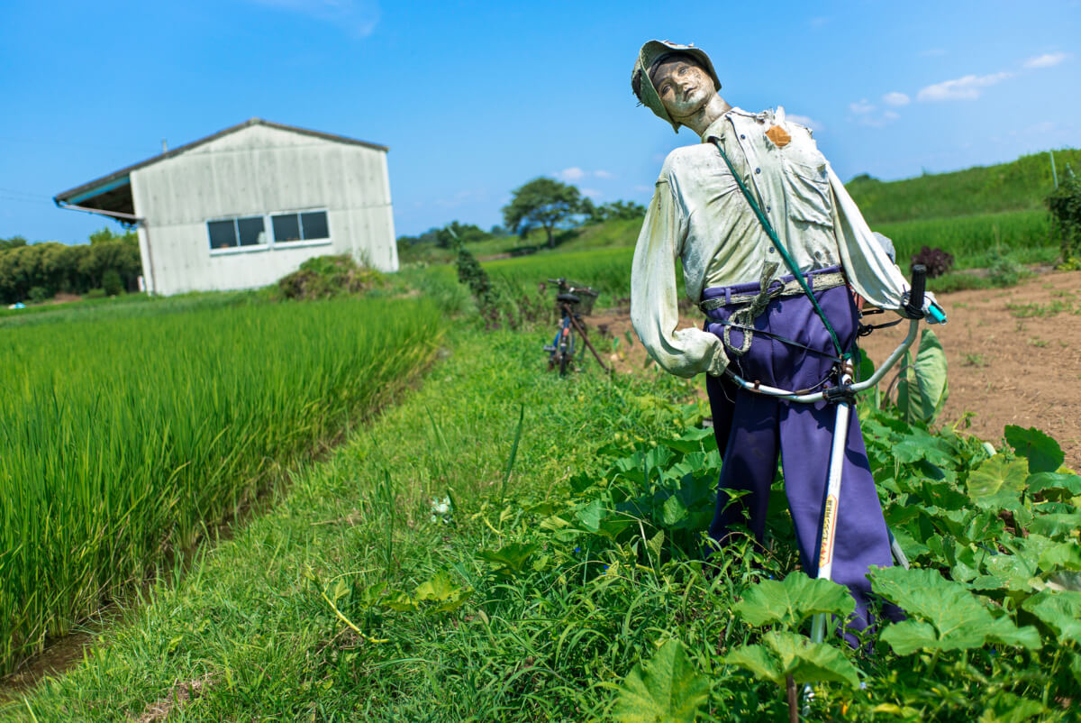 Japanese scarecrow