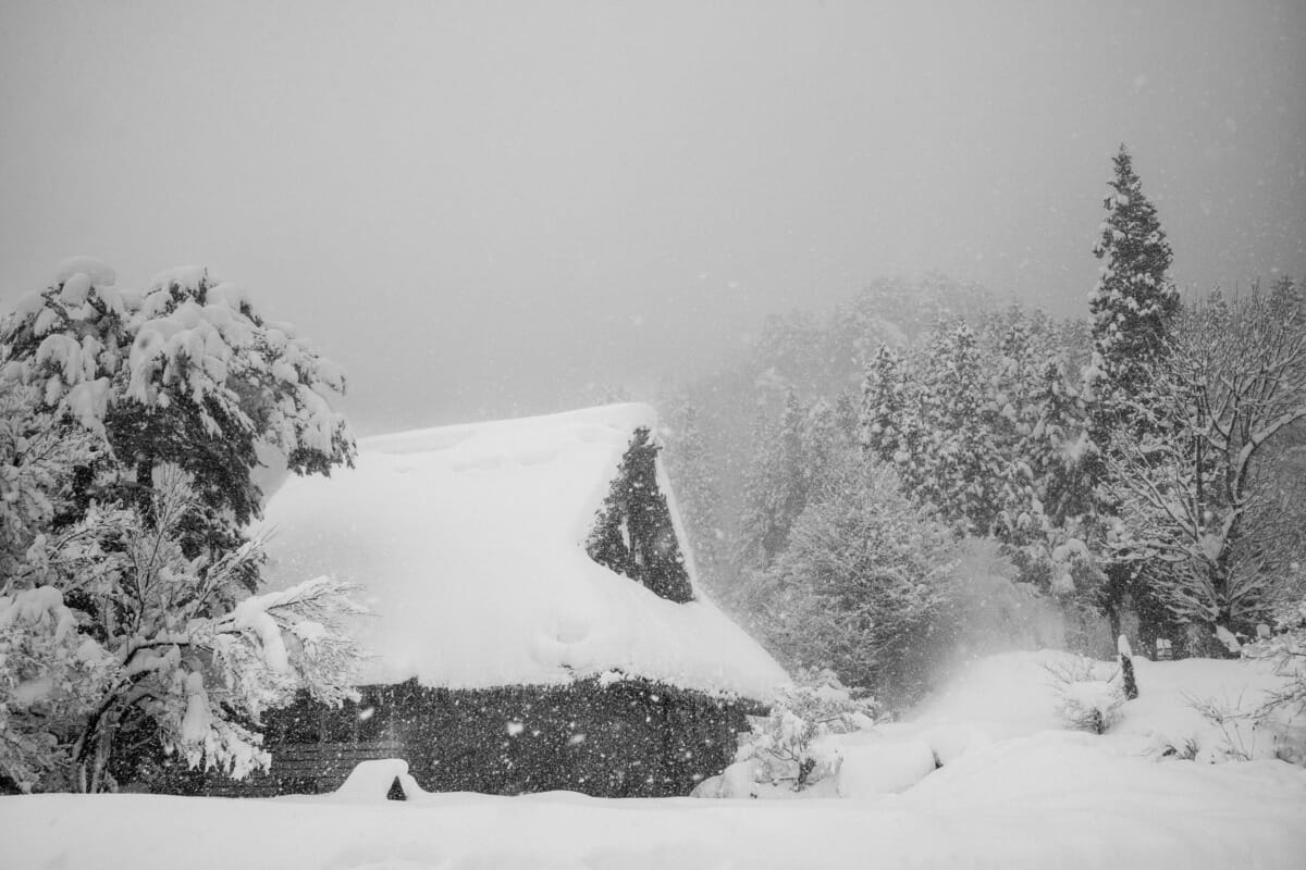 a beautifully bleak Japanese village in the snow