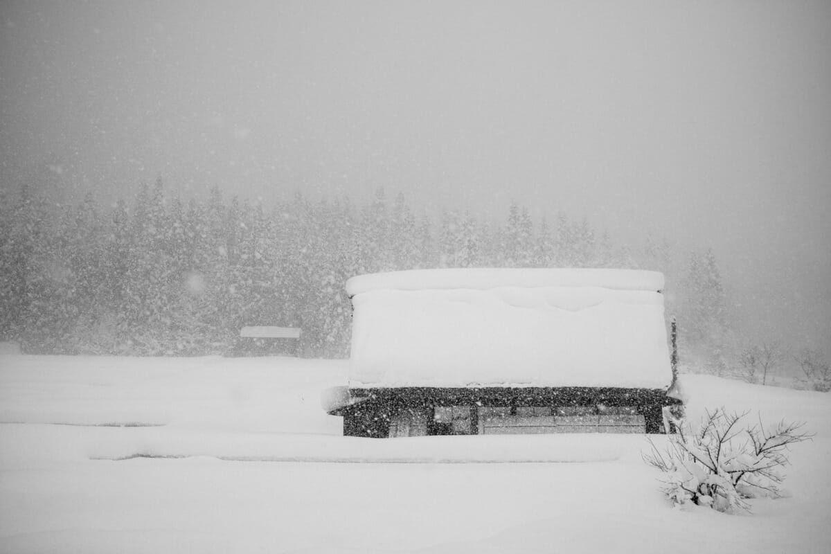 a beautifully bleak Japanese village in the snow