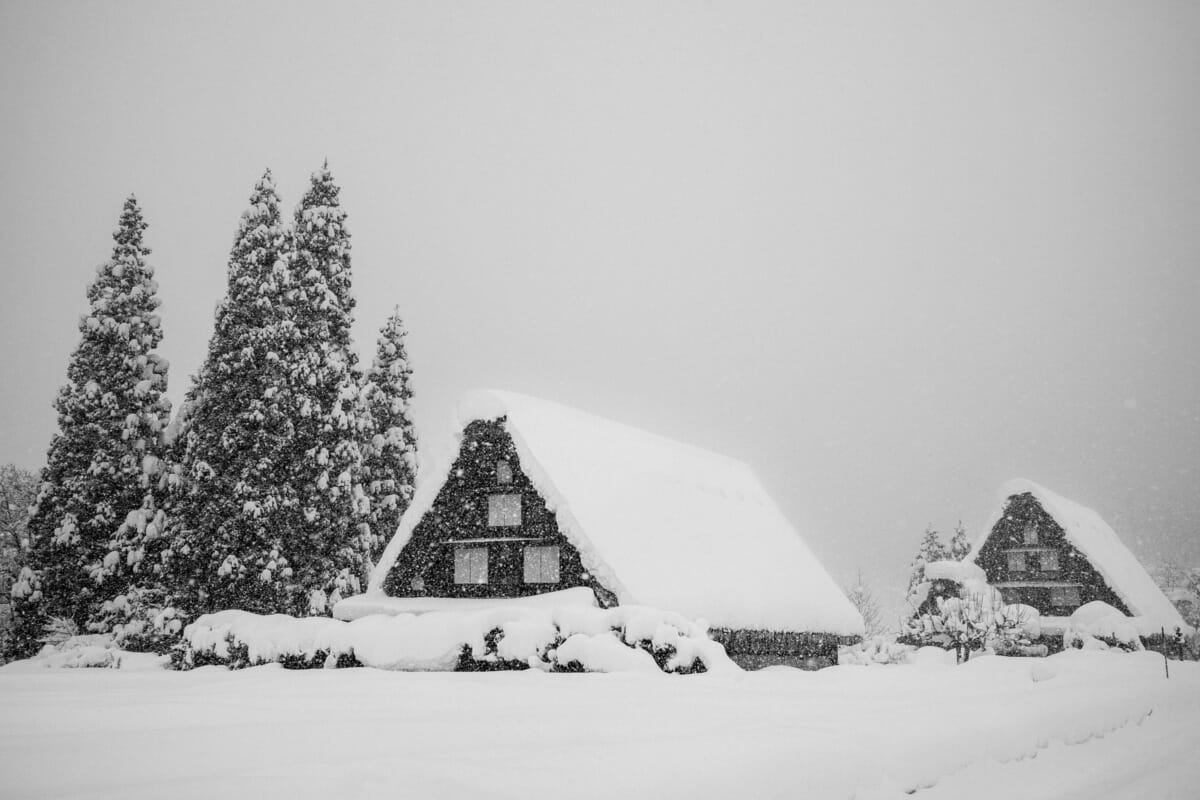 a beautifully bleak Japanese village in the snow