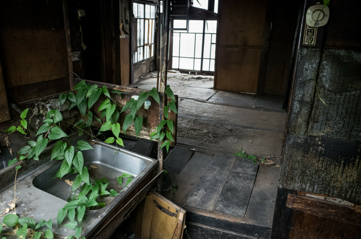 The life cycle of an old Tokyo house and its elderly owner