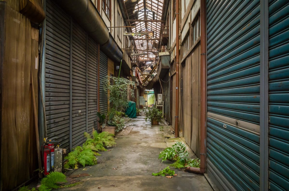 The overgrown beauty of a long abandoned Japanese shopping arcade