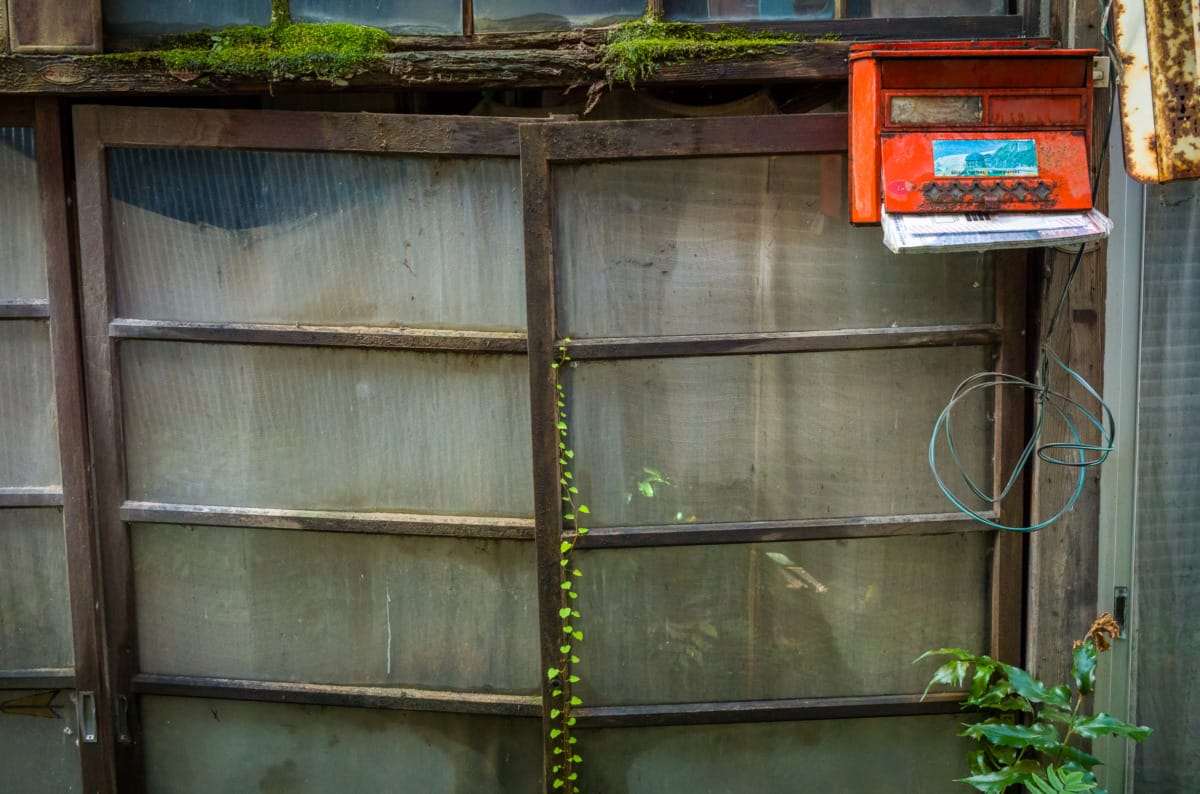 The overgrown beauty of a long abandoned Japanese shopping arcade