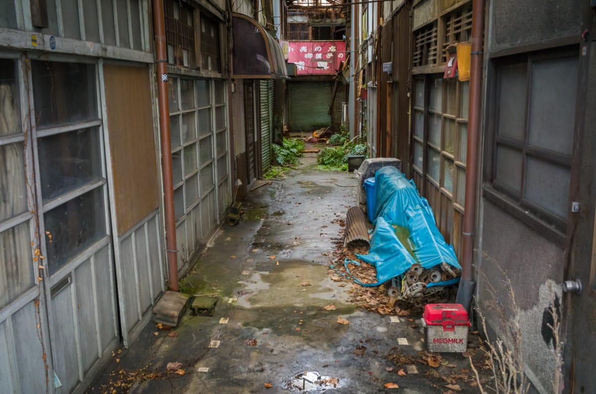 The overgrown beauty of a long abandoned Japanese shopping arcade