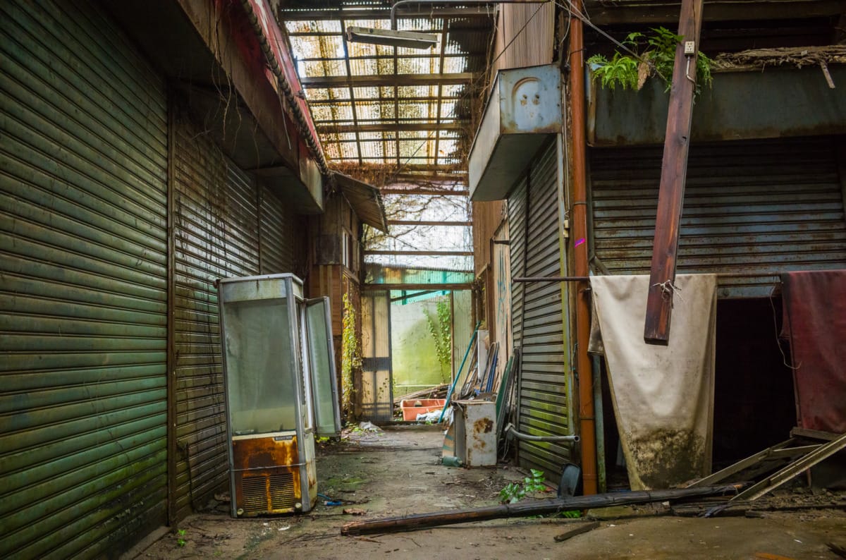 The overgrown beauty of a long abandoned Japanese shopping arcade