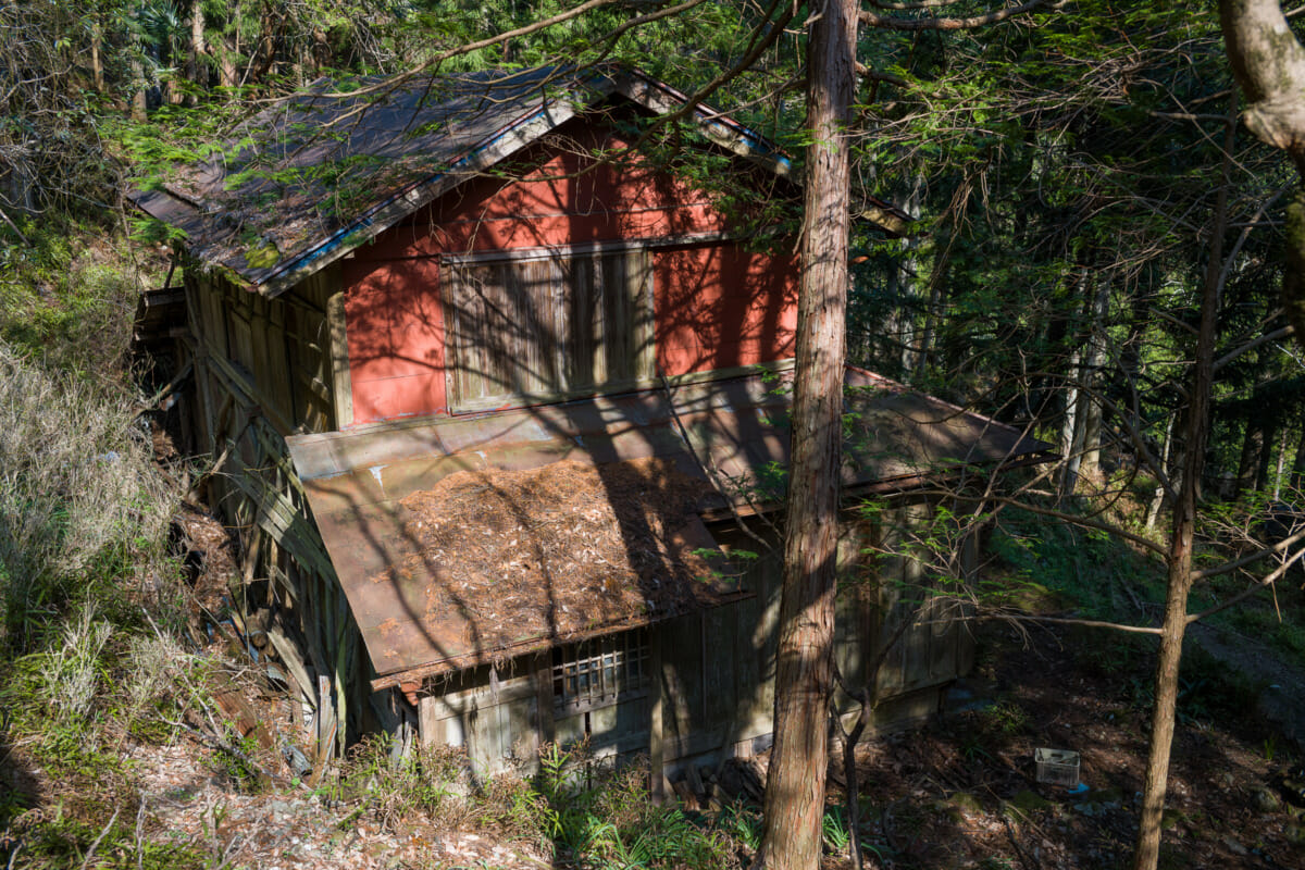 long-abandoned Tokyo house