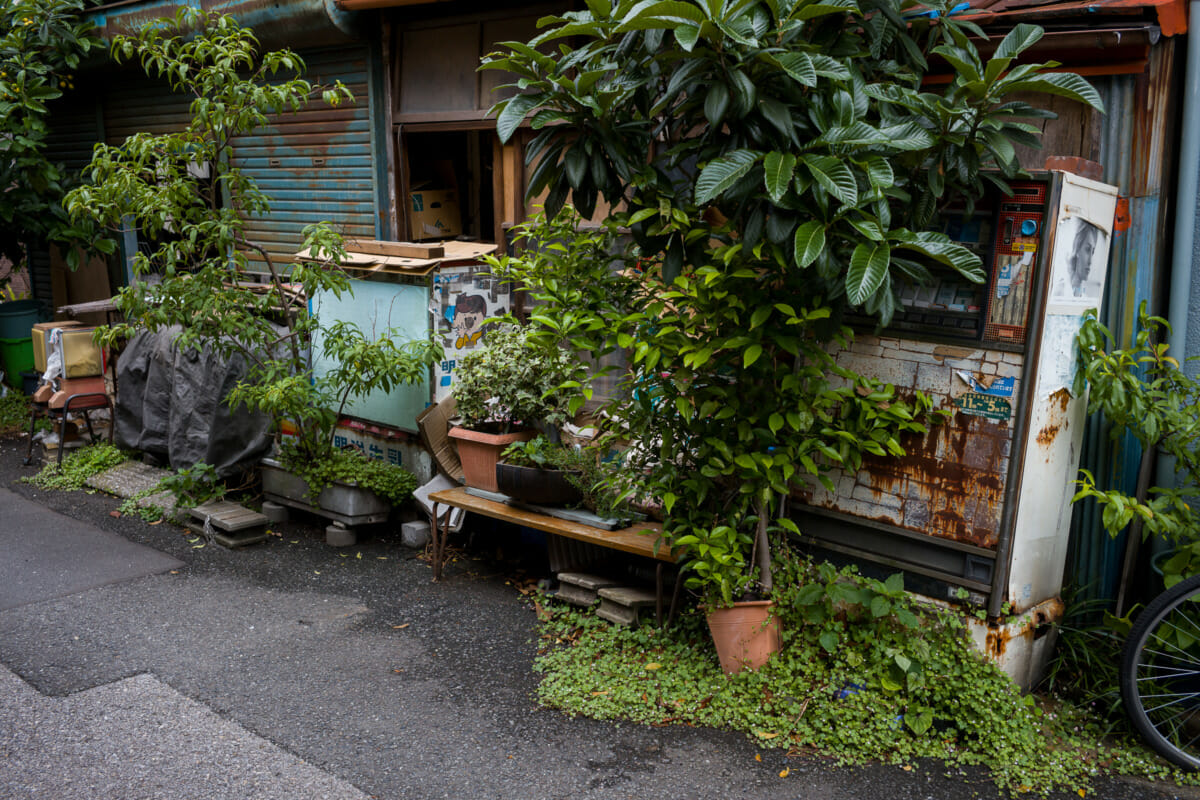 An old Tokyo house and its long-closed shop