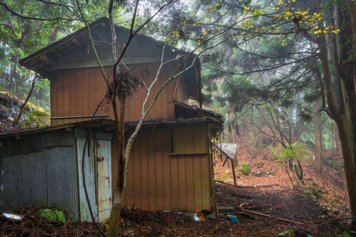 misty mountains and abandoned homes of Tokyo’s far west